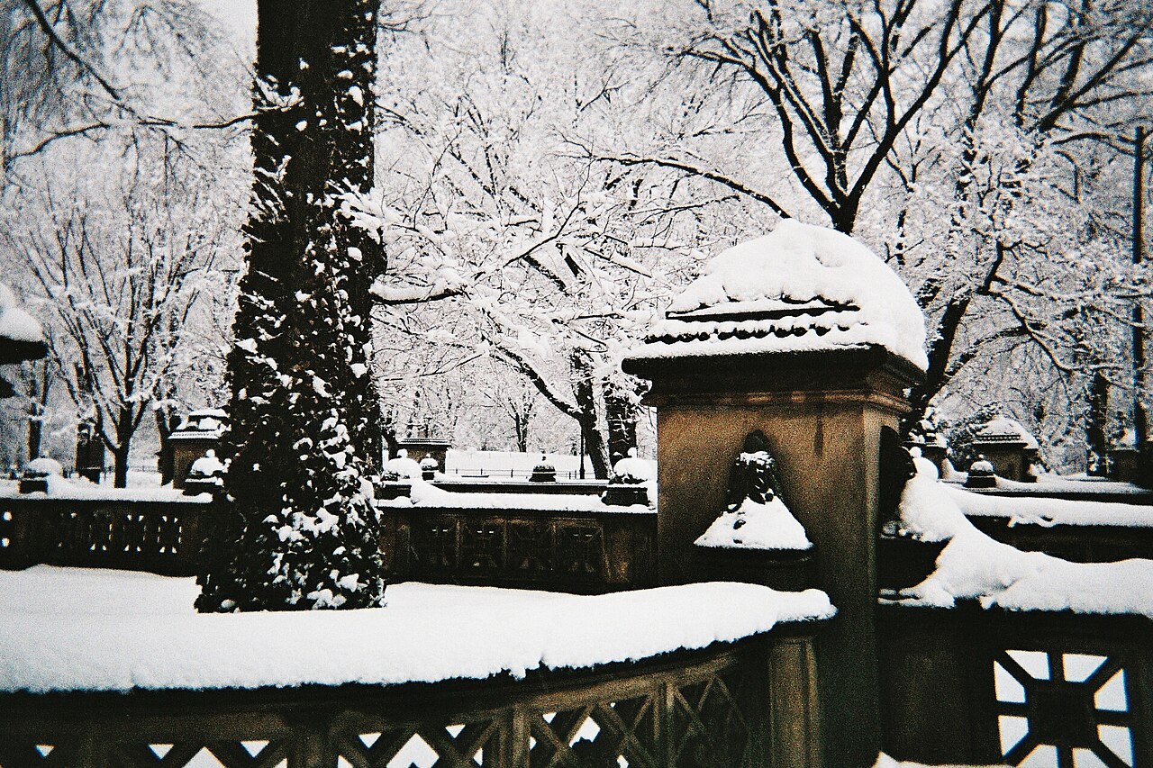 The park side of 59th Street
